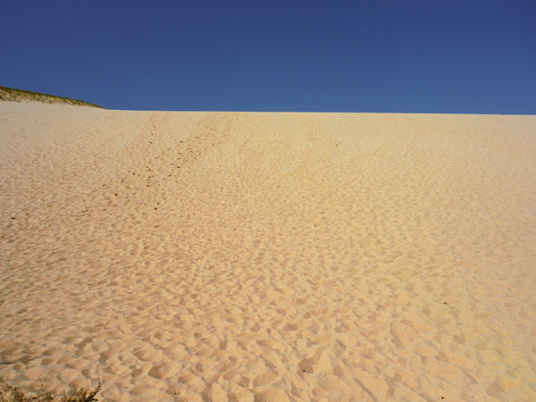 photo from half way up the sand dune